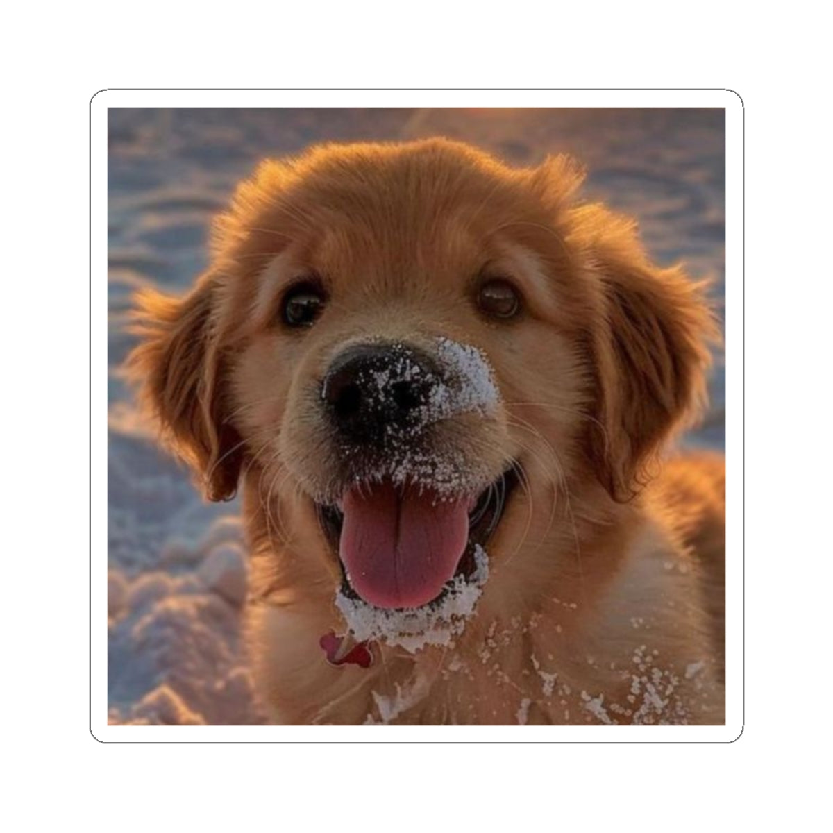 Custom Pet Photo Square Sticker — Cute Kiss-Cut Laptop & Water-Resistant Decal