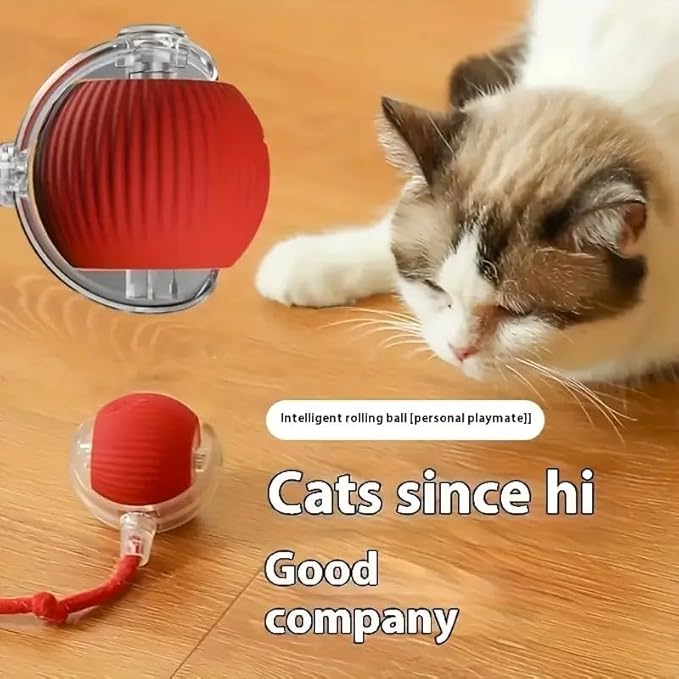 Automatic Rolling Cat Toy with Sound – Rechargeable Interactive Ball for Indoor Cats