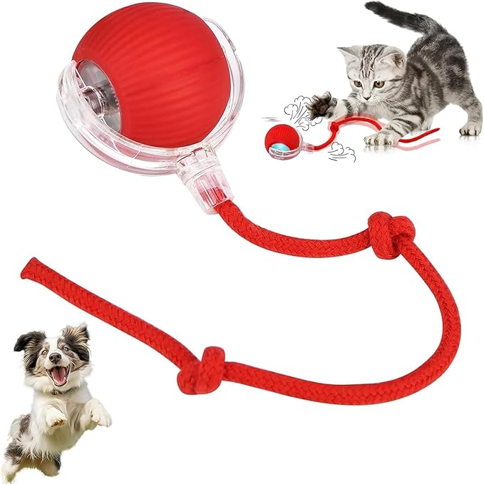 Automatic Rolling Cat Toy with Sound – Rechargeable Interactive Ball for Indoor Cats