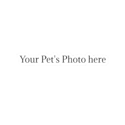 Custom Pet Photo Square Sticker — Cute Kiss-Cut Laptop & Water-Resistant Decal