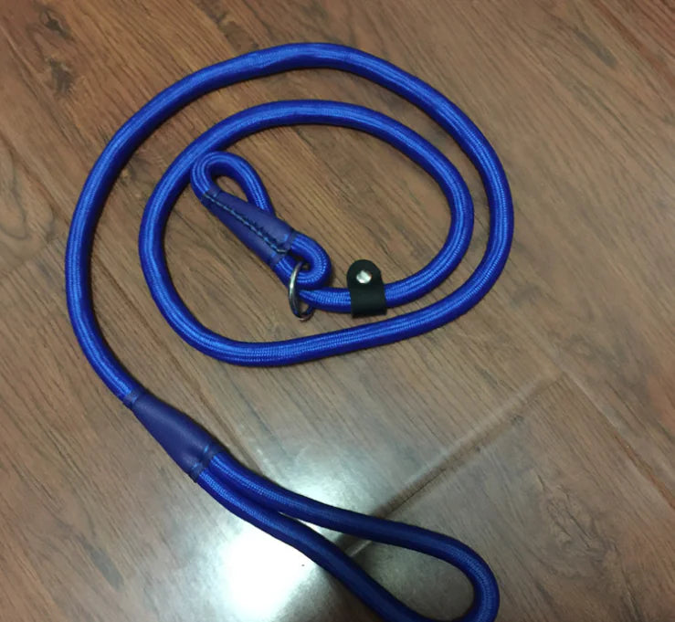 Dog Leash, Pet Traction Rope, Pet P Chain Lead