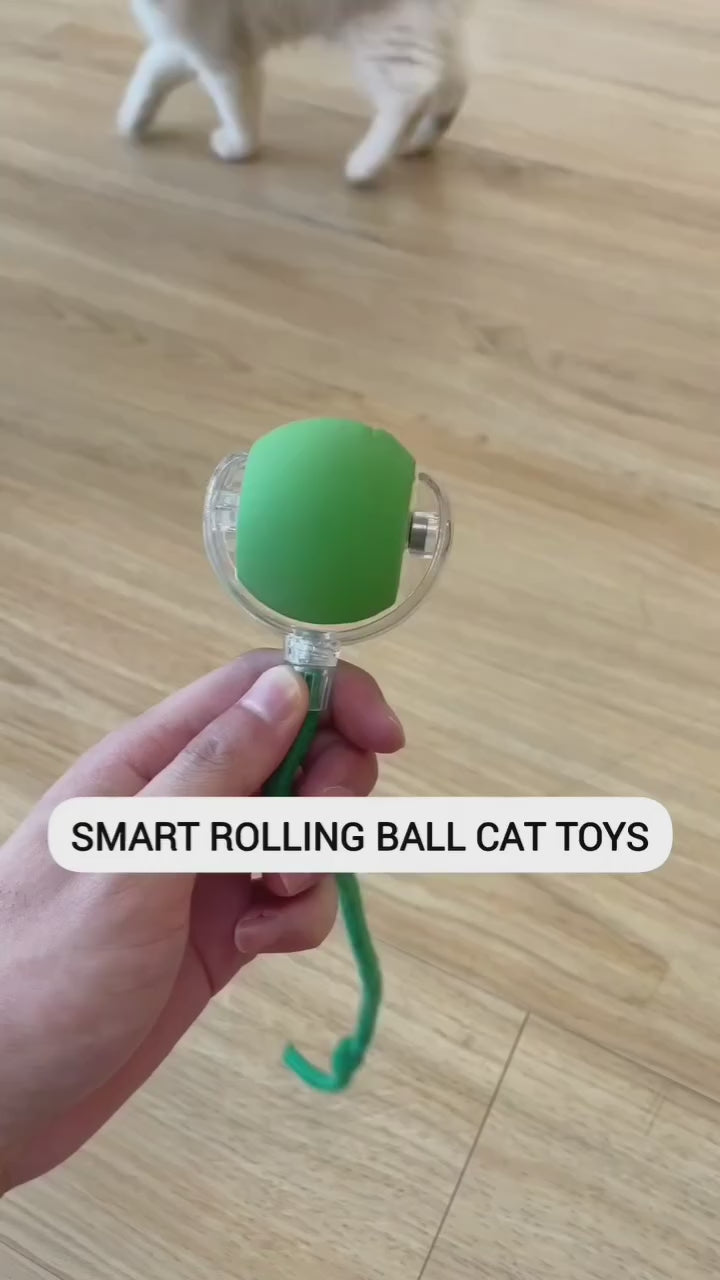 Automatic Rolling Cat Toy with Sound – Rechargeable Interactive Ball for Indoor Cats