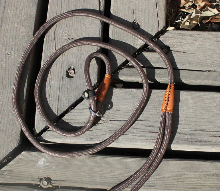 Dog Leash, Pet Traction Rope, Pet P Chain Lead